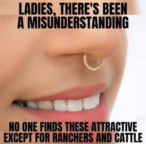 Good Morning.............opinion