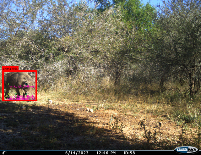 vsccvscc's tweet image. #Tech4Wildlife Towards screening MegaDetected camera trap datasets for wildlife behaviours of interest with @DeepLabCut AI Residency 2022 crew using SuperAnimals. Camera trap images collected in Kruger National Park during AFSCTS2023 @WildEcoLabNMU Sex Div docdro.id/QG0e7t4