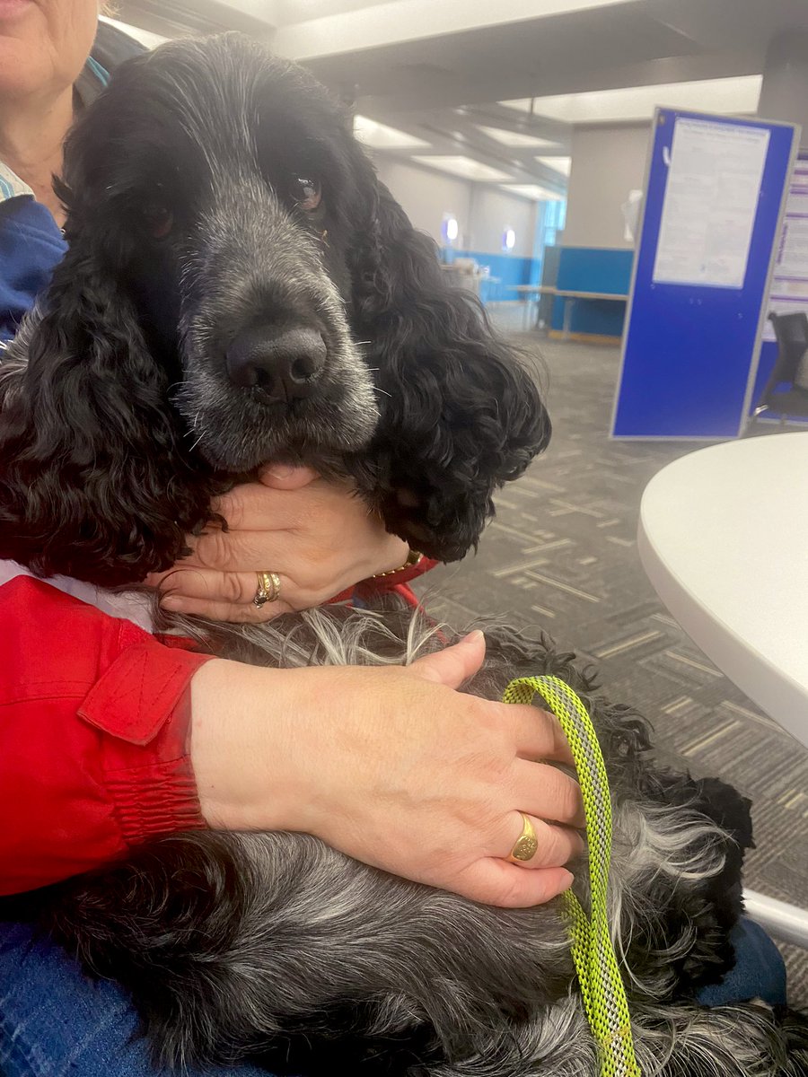 Best delegate award goes to Brodie #cyber23