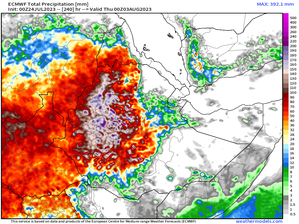 althecat's tweet photo. Rainfall in the Ethiopian Highlands remains strong. The peak period of rainfall is approaching and it appears that rainfall is a little lower than the last two years - perhaps showing signs of the developing El-Nino. 

Two weekly modelled (not actual) rainfall is currently at around 400mms = 1 Foot 4 inches. This compares similarly to modelled rainfall in 2021 and 2022. Peak rainfall typically occurs mid August - at the end of this forecast period.