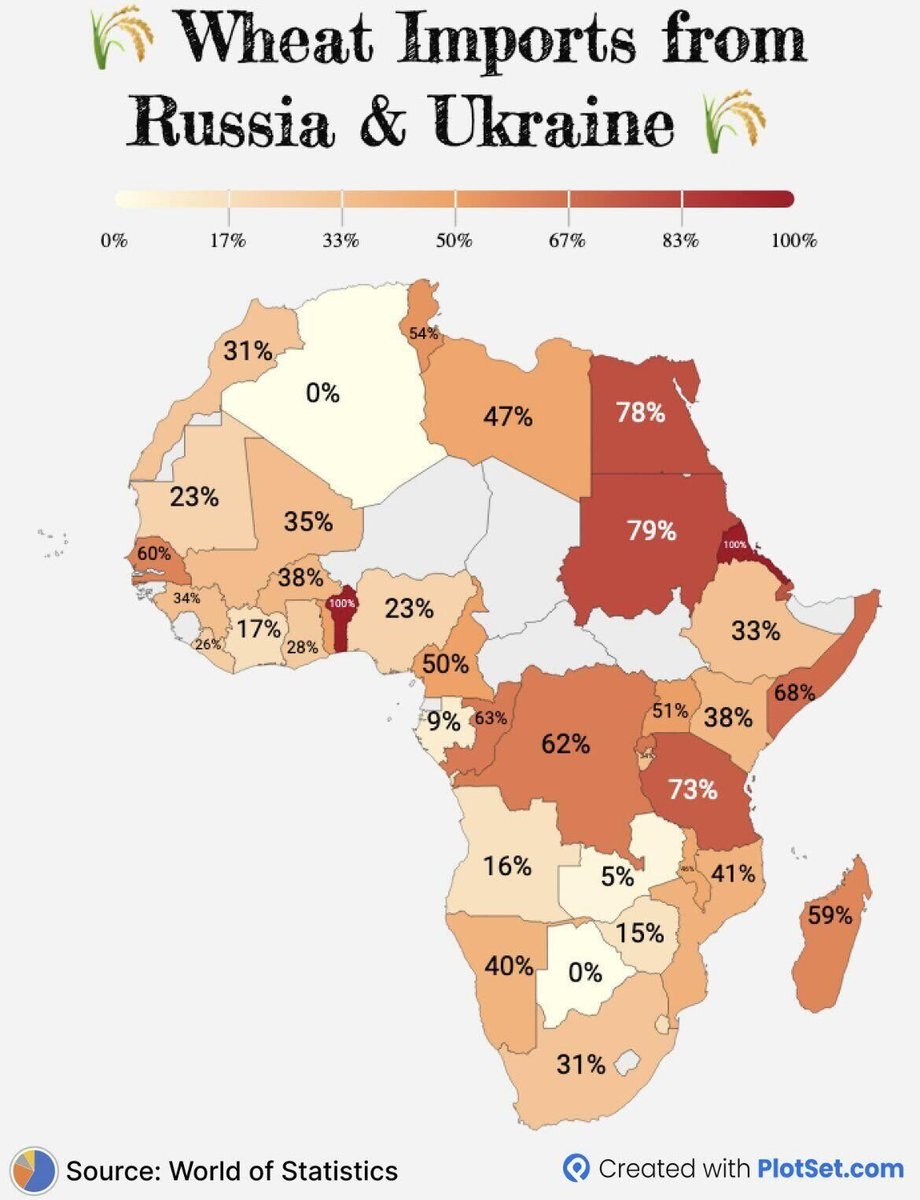 Map showing the levels of dependence of African states on wheat from Ukraine and Russia.