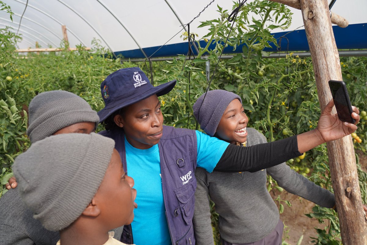 WFP Zimbabwe (@wfp_zimbabwe) on Twitter photo Almost ready 🍅 for the market.
The greenhouse at Runyararo primary school is a communal asset that produces vegetables & income for the Ruwa community. But for the learners, it is a practical learning hub.
Thanks to the partnership with <a href="/UsaidZimbabwe/">USAID Zimbabwe</a> & <a href="/PlanZimbabwe/">Plan Int' Zimbabwe</a> 🙏🏿 Almost ready 🍅 for the market.
The greenhouse at Runyararo primary school is a communal asset that produces vegetables & income for the Ruwa community. But for the learners, it is a practical learning hub.
Thanks to the partnership with <a href="/UsaidZimbabwe/">USAID Zimbabwe</a> & <a href="/PlanZimbabwe/">Plan Int' Zimbabwe</a> 🙏🏿