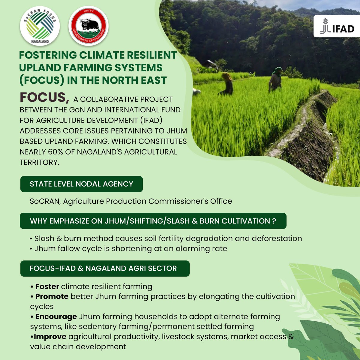 focusnagaland's tweet photo. The Government of Nagaland and @ifad collaborated in Project @focusnagaland (FOCUS), dedicated to promoting and implementing sustainable farming practices in North East India. 

#KnowFocus #AskFOCUS #FutureOfNagaland https://t.co/nZFYOJPZgs