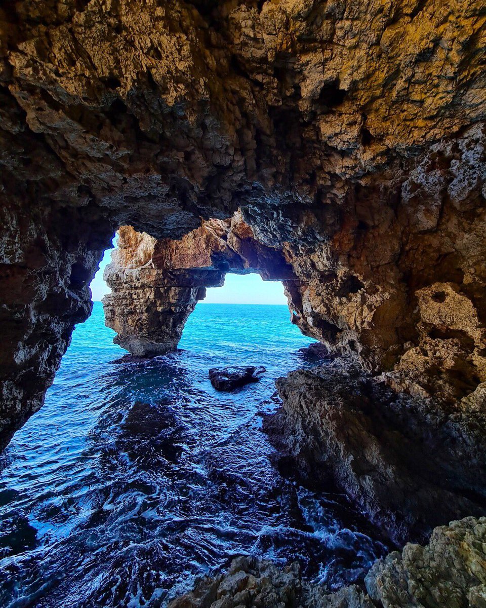 costablancaorg's tweet image. 🤿🐠 Sumérgete en el misterio de las cuevas marinas de la #CostaBlanca.
Descubre un mundo lleno de belleza entre aguas cristalinas 🐟 Algunas que debes conocer:
📍 Cova dels Testos #Benitatxell
📍 Cova Tallada #Xàbia
📍 Cova dels Arcs #Benitatxell
📍 Cova del Llop Marí #Tabarca