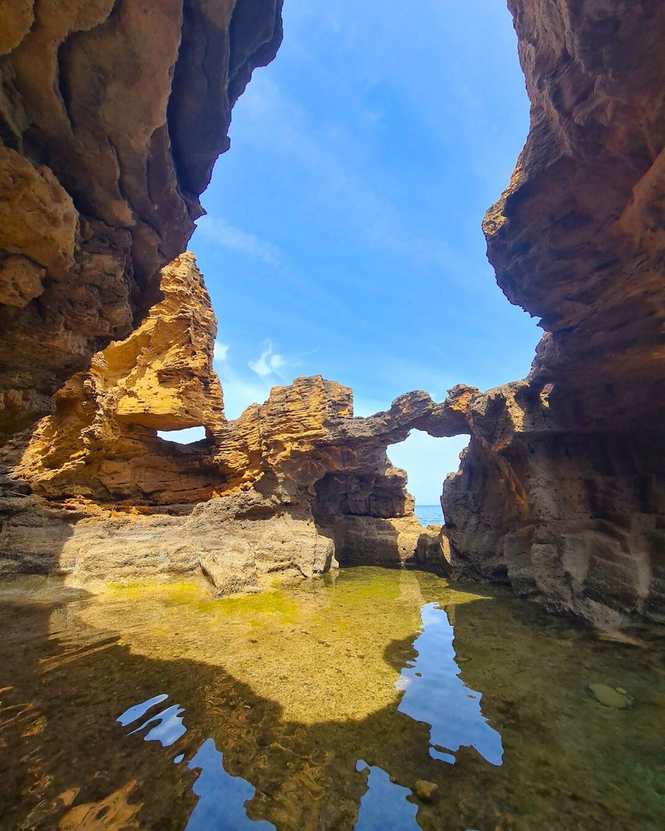 costablancaorg's tweet image. 🤿🐠 Sumérgete en el misterio de las cuevas marinas de la #CostaBlanca.
Descubre un mundo lleno de belleza entre aguas cristalinas 🐟 Algunas que debes conocer:
📍 Cova dels Testos #Benitatxell
📍 Cova Tallada #Xàbia
📍 Cova dels Arcs #Benitatxell
📍 Cova del Llop Marí #Tabarca