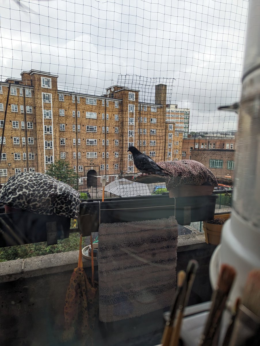 Breandán Dé Rossa tweet media