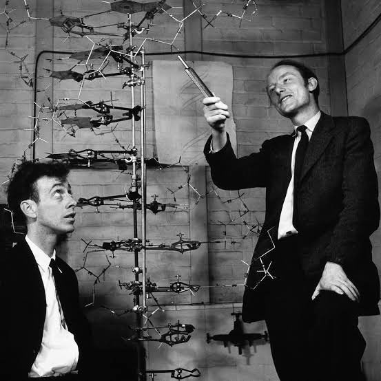 DrTravisBrown's tweet photo. Out tomorrow

Ep 42: The DNA double helix discovery
@ThisMedicalLife #podcast

We discuss the DNA double helix discovery story of Watson, Crick, Wilkins &amp; Franklin

Special guest Prof Nathaniel Comfort who wrote a recent article in Nature about Rosalind Franklins critical role https://t.co/Y6WTDxloEl