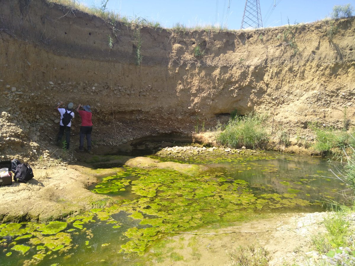 GIAP_ICAC's tweet photo. A team from GIAP is on a fieldwork campaign in the ancient colony of Abdera, Greece🇬🇷
They're conducting an in-depth survey to unravel landscapes of ancient Greek colonisation in the Mediterranean🏞️
ℹ️https://t.co/n1abrAoOUy
#LandscapeArchaeology #TranScapes
@ICAC_cat #SomCERCA https://t.co/Hg5UilLiyS