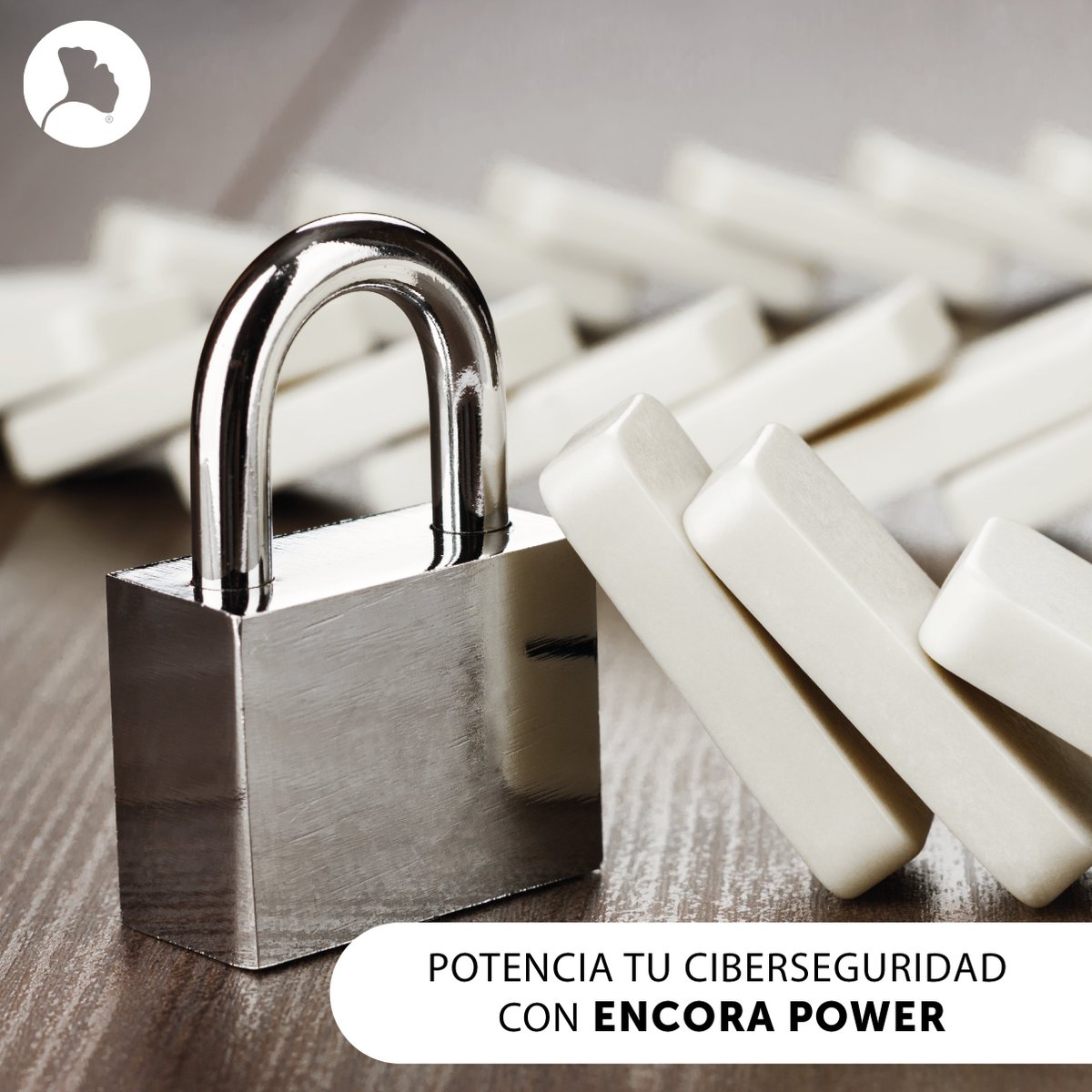 EncoraTeam's tweet photo. 🚀 ¡Potencia tu ciberseguridad con Encora Power!

Nuestro servicio gestionado brinda acceso al equipo experto de Encora para proteger tu departamento día a día.

💼 Ofrecemos, auditamos, gestionamos e implementamos todo el ciclo de vida del proyecto.

🔗 https://t.co/r4cPhHPCBN https://t.co/AF73vpXbK6