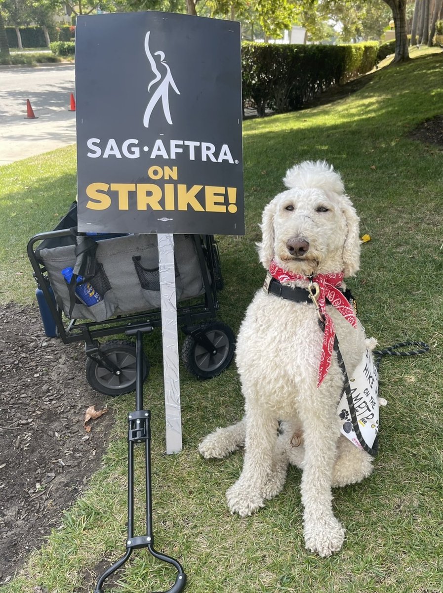 MoontideGal's tweet photo. July 21. Day 6 of @sagaftra #strike.๐ชงJacques ๐พ & I joined @WGAWest to strike for fair contracts! ๐๐ผ *PLEASE make sure your #picketpups & #strikedogs KEEP VERY COOL!* ๐ฆ#picketpup #1u @solidaritydogs #dogs @WGAStrikeDogs #SAGAFTRAstrong #wgastrong #SAGAFTRAstrike #wgastrike https://t.co/0OBZ1vWIoM