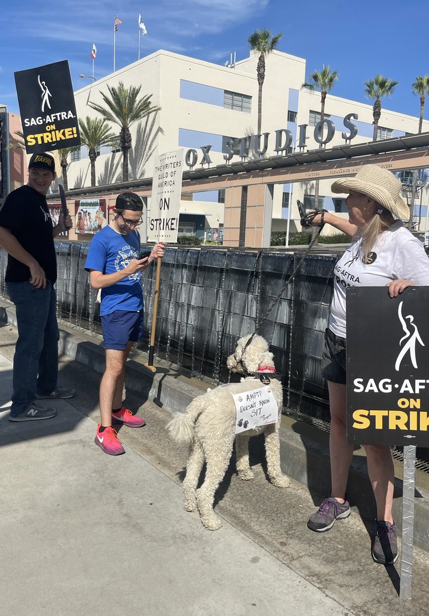 MoontideGal's tweet photo. July 21. Day 6 of @sagaftra #strike.๐ชงJacques ๐พ & I joined @WGAWest to strike for fair contracts! ๐๐ผ *PLEASE make sure your #picketpups & #strikedogs KEEP VERY COOL!* ๐ฆ#picketpup #1u @solidaritydogs #dogs @WGAStrikeDogs #SAGAFTRAstrong #wgastrong #SAGAFTRAstrike #wgastrike https://t.co/0OBZ1vWIoM