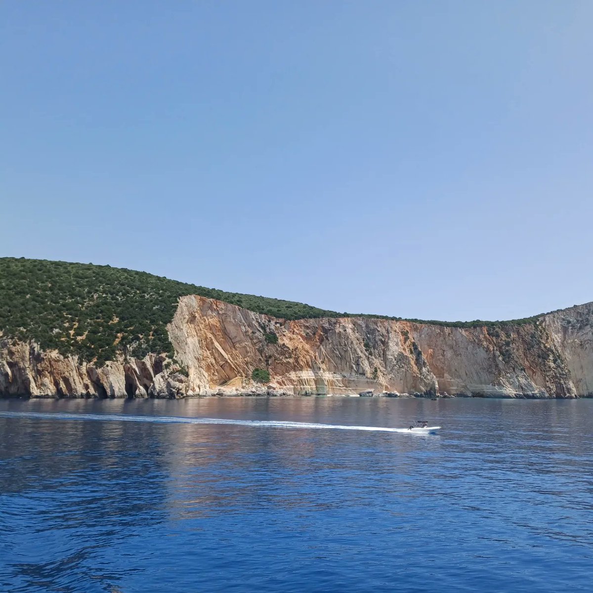 Maria Pafi tweet media