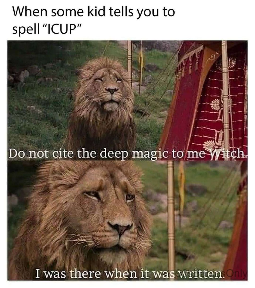 WholesomeMemes tweet media