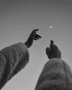 princess_evya's tweet photo. reaching skyward was
involuntary - trying
to reunite us
#haikuchallenge #HaikuSaturday #haikufeels #poetry #Only8Words #haiku #haikuhorrorprompt #poem #WritingCommunity #todayiwrite https://t.co/CBhmelwAL5