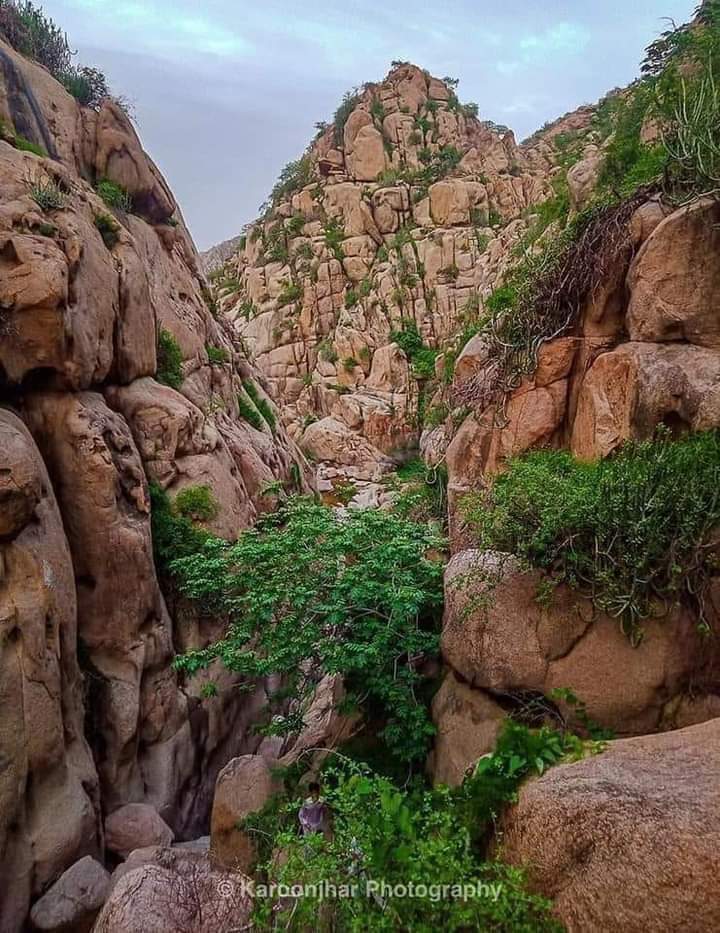 Sindh for Sale
After the Successful Launch of Behria Town, DHA, ASF and may more. Here we are. To launch a new scheme. Karoonjhar tiles and Marbles. On of the oldest and finest tiles. For booking and other details, kindly contact any PPP representative. 
#SaveKaroonjhar