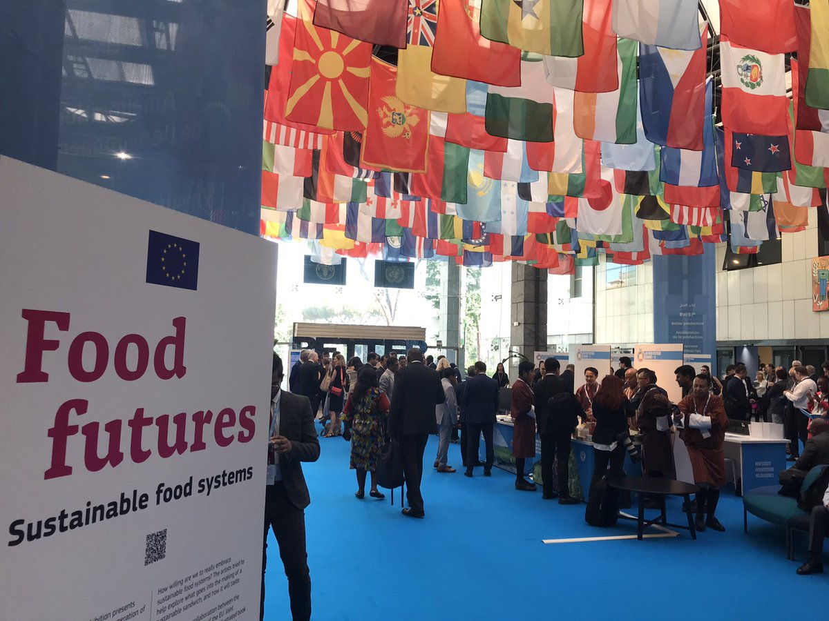 UN #FoodSystems Summit +2 starting @FAO …but why another Summit?

👉Coz we need faster progress & more coordinated action, especially on ending hunger & climate change!

More soon on key messages…
@ECDPM @FoodSystems @nfp_sdg2 @ActionOnFood