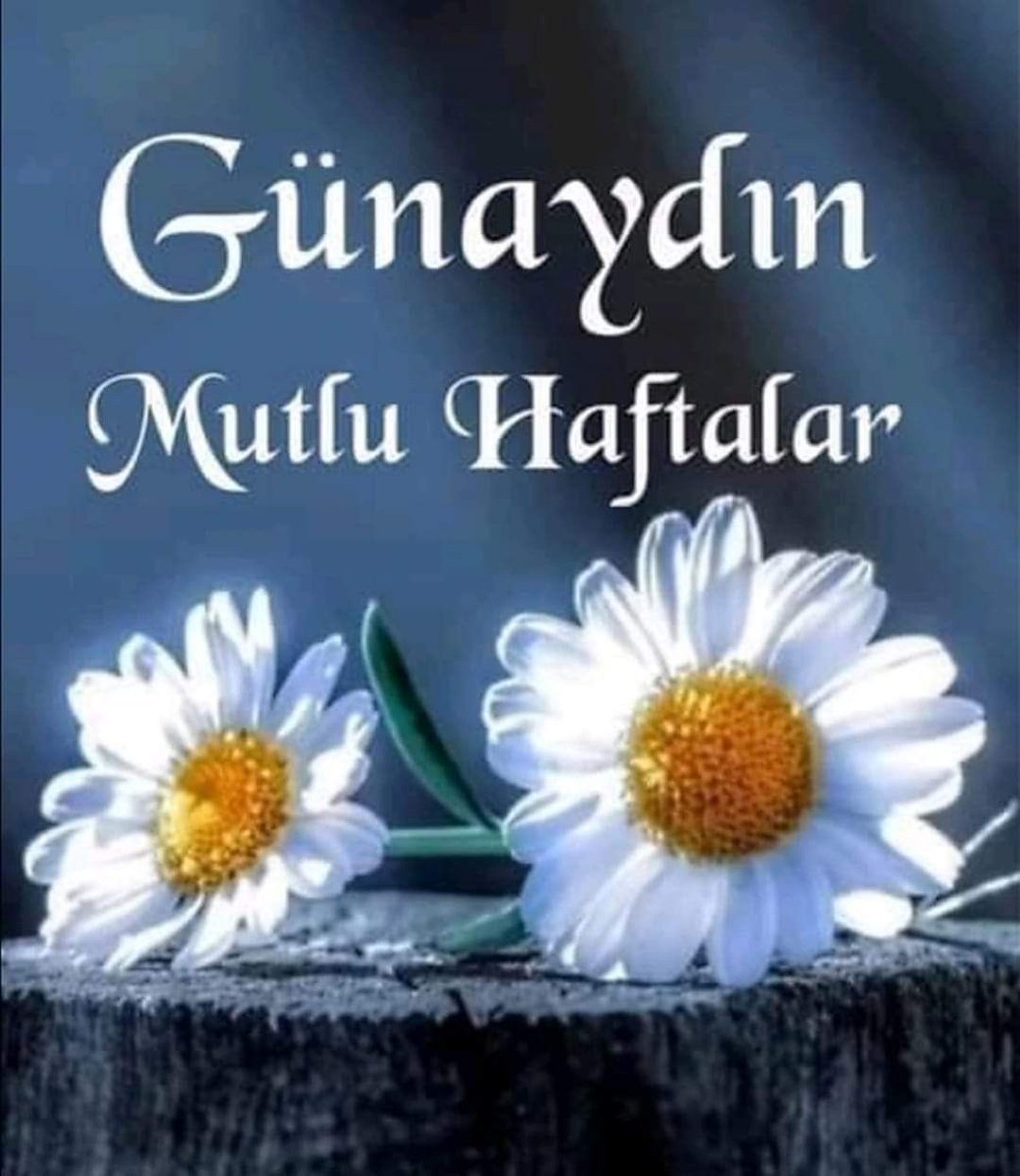 Günaydın Hayırlı haftalar sağlıklı huzurlu bereketli hafta olmasını rabbimden niyaz ederim. Slm vecdua ile