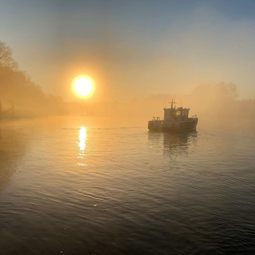 LondonPortAuth's tweet photo. Attention, commercial vessel operators: From 1 July 2024, we will enforce a ban on discharging sewage into the tidal River Thames. Get ready to make alternative arrangements for waste disposal #CleanThames #RiverThames #NaturalThames ➡️ https://t.co/K2hFHkkaJs https://t.co/x1TLCjm8x7
