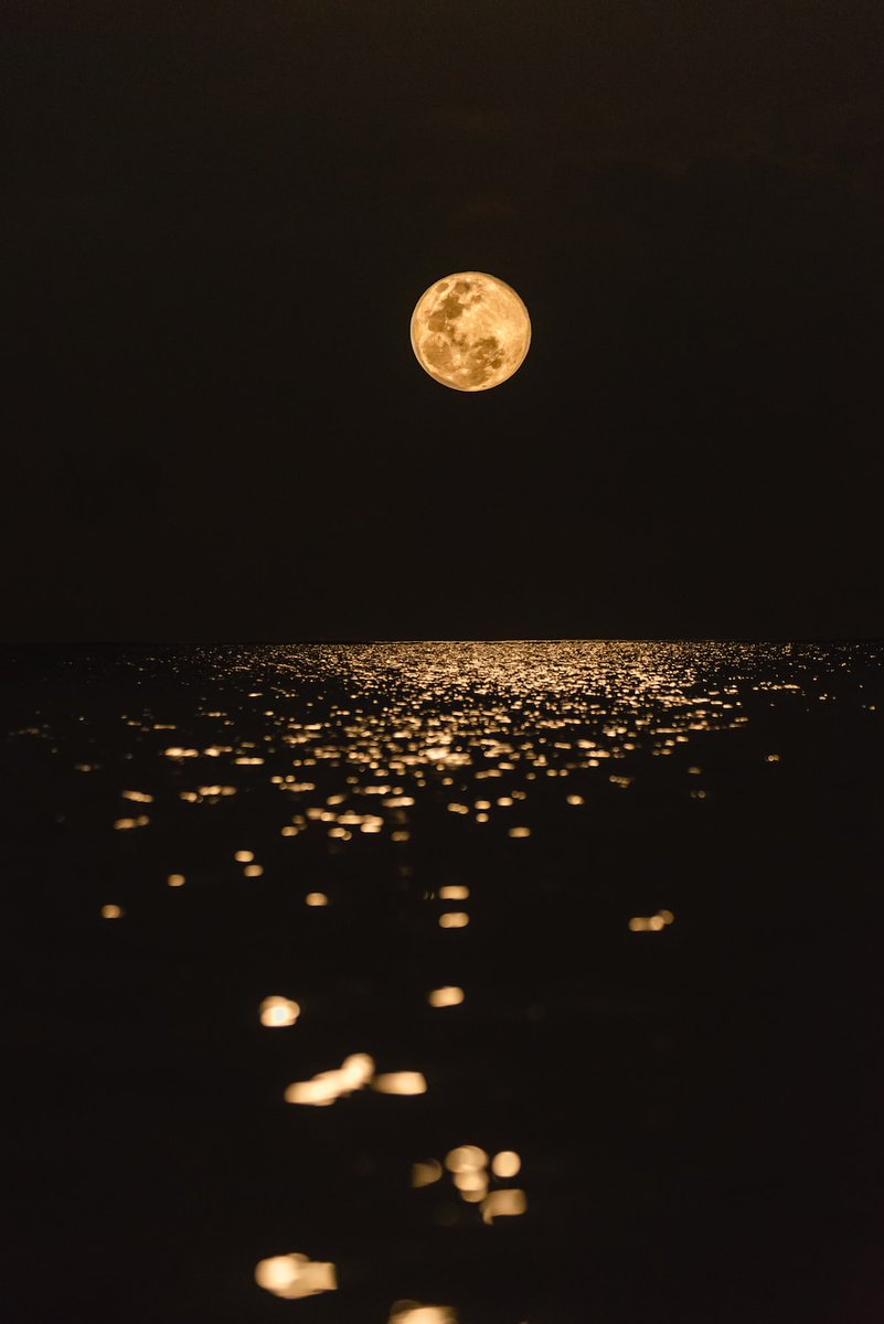WordsworthDaily's tweet photo. Lo! where the Moon along the sky
Sails with her happy destiny;
Oft is she hid from mortal eye
Or dimly seen,
But when the clouds asunder fly
How bright her mien!

-From A Night Thought
#Wordsworth #poetry https://t.co/WfwymyeN87