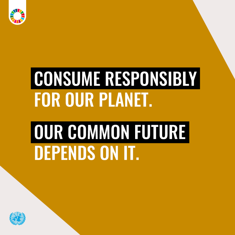 Unsustainable patterns of consumption and production are among the root causes of the triple planetary crises of #ClimateChange, biodiversity loss, and pollution.

#ActNow to help achieve the #GlobalGoals and protect the planet and the future of humanity.