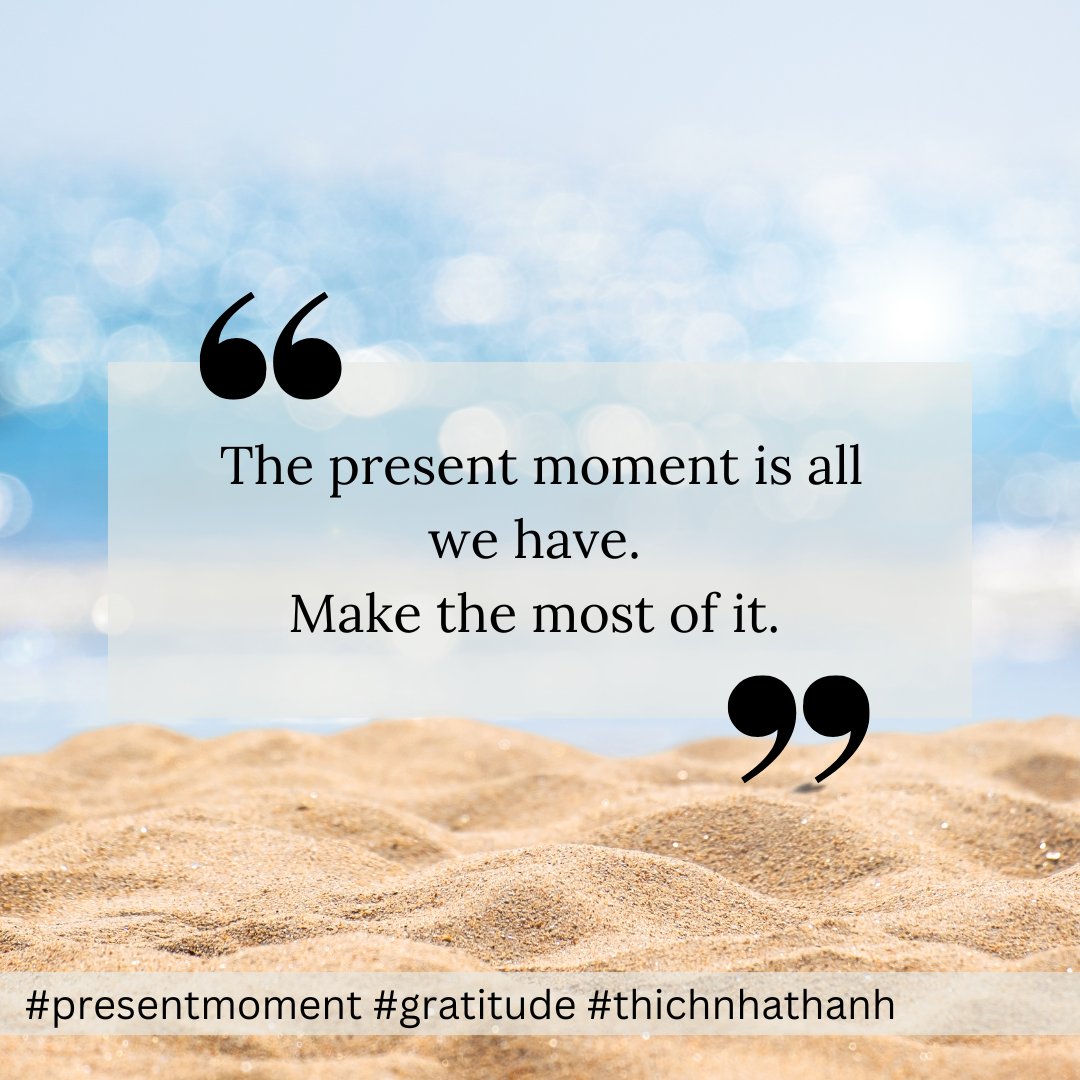 The present moment is all we have. Make the most of it. 
#presentmoment #gratitude #thichnhathanh