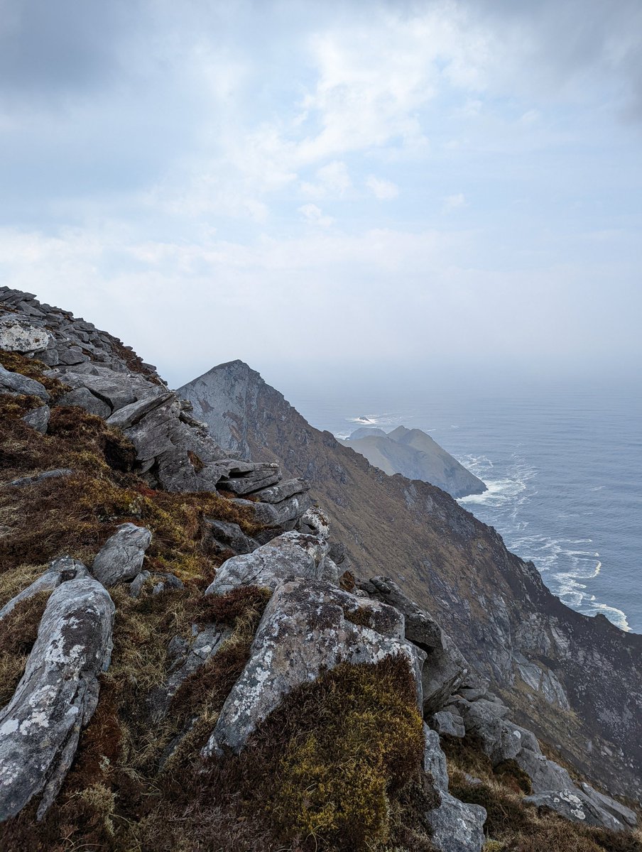 Achillsights tweet picture