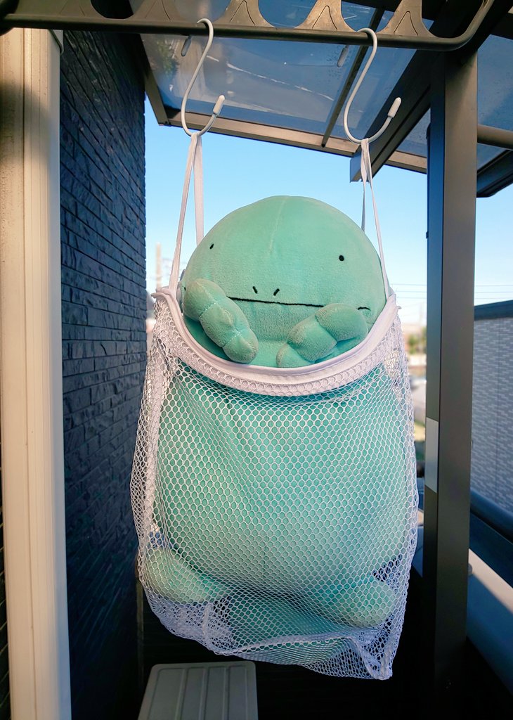 nuonuo_sawa's tweet photo. ヌオーちゃんを縦に吊るして干せないかと、キャンドゥでネット買ったんだけど、思った以上にドンピシャでくそ可愛い https://t.co/NgBOpkyZnZ