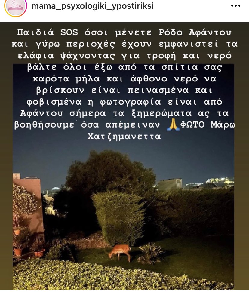christiWonder's tweet photo. SOS Βοήθεια για τα άγρια ζώα. #φωτιες #Ροδος #Αιγιο #Κερκυρα https://t.co/sGz9g965y8