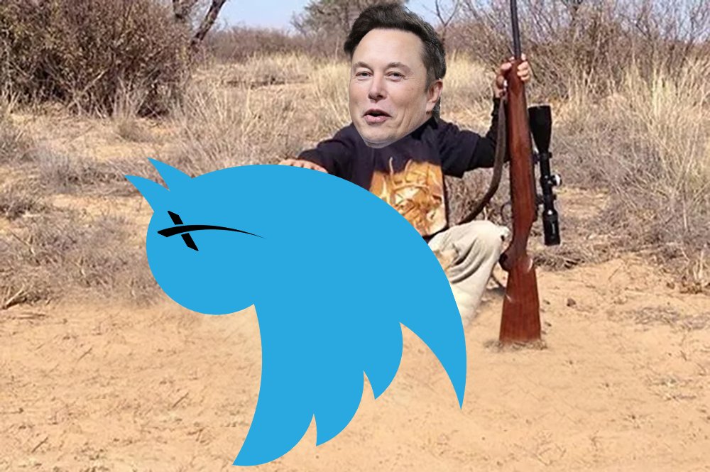 GoSomewhereSlow's tweet photo. Extinct. 
Courtesy of Musk.
#TwitterX https://t.co/5uGGnj3hFI