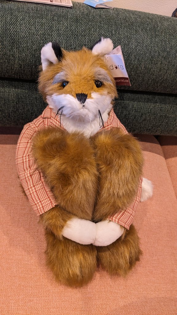 こちらのぬいぐるみのレディキツネバージョンが家にいます ドラ