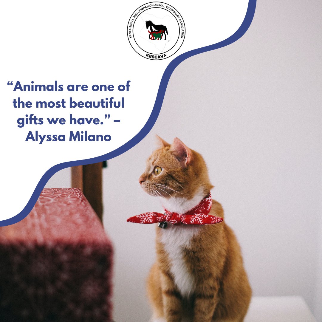 RT @KESCAVAvets: “Animals are one of the most beautiful gifts we have.” – Alyssa Milano

#HappyNewWeek https://t.co/Anebq5NHLg