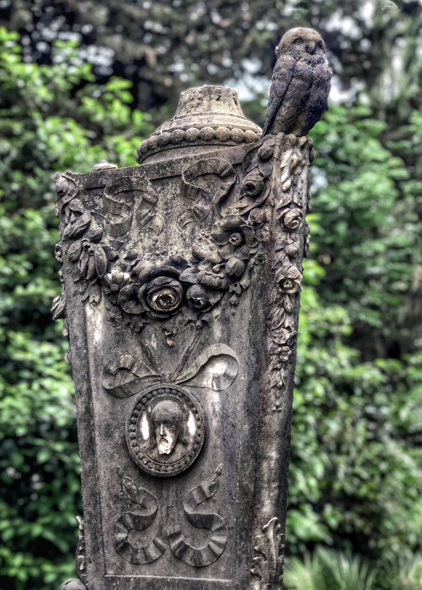 Verano Cemetery, Rome🦉🪦

 #OwlishMonday