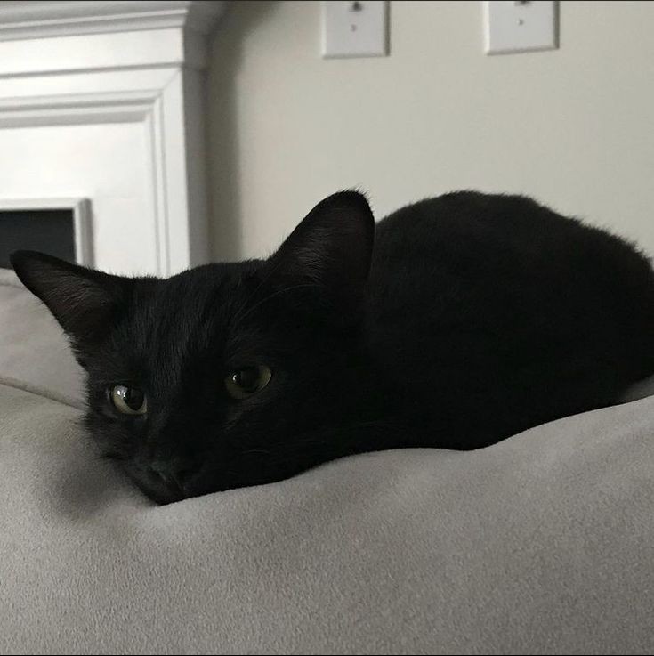 ͏

͏

͏
清水 潔子 SHMZ。
i still got some time to waste before i fly back to tokyo.