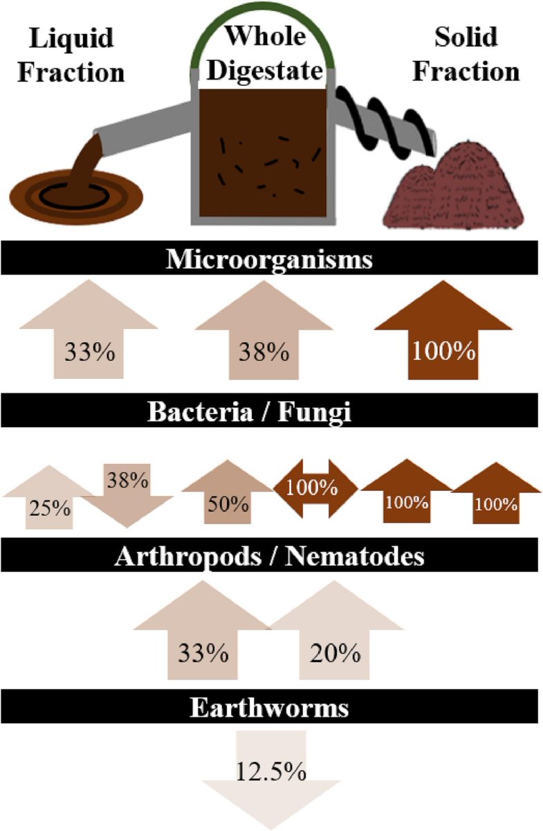 Check out this new article by <a href="/vanMidden_C/">Christina van Midden</a> on the impact of #AnaerobicDigestate on soil biota. Surface dwelling critters 🪱 suffer the most and the solid fraction delivers the most benefits. Free access here: authors.elsevier.com/c/1hRDZ3JGmRIr…