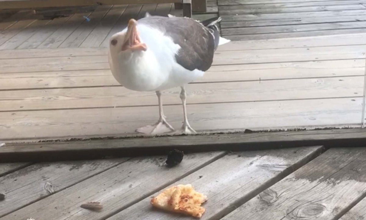 <a href="/7FestNL/">7Fest</a> had toevallig foto gemaakt