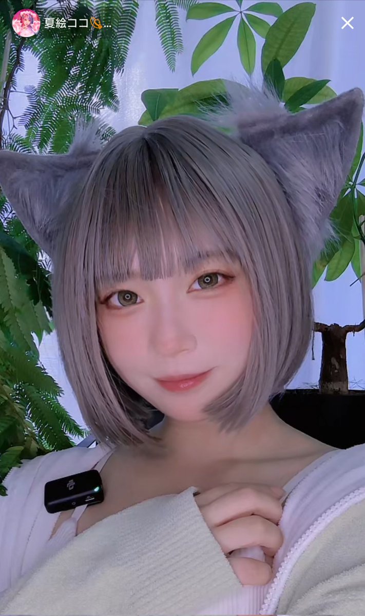 forest_x_12's tweet photo. To all NPC fans around the world. She is a Mute Liver representing Japan named Coco Natsue. The content of the distribution is Mute in the first half, and chatting in the second half. Please come and see.
#Mutelive
#Coconatsue
#NPCofjapan
#夏絵ココ https://t.co/vfdxgJVfL4