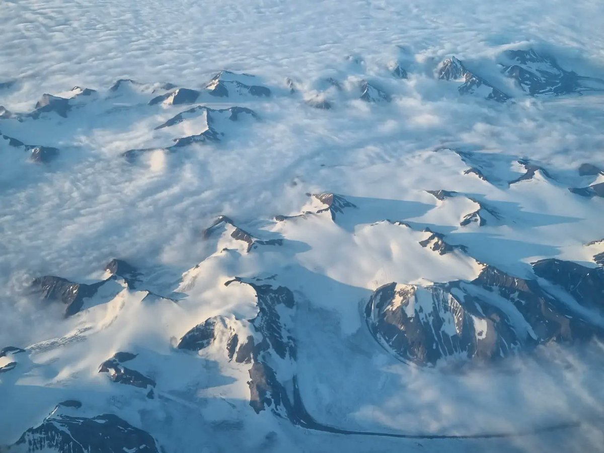 Steffan Griffiths tweet media