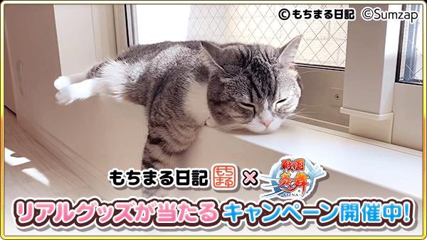 kot_510's tweet photo. 抽選でコラボグッズが当たる！ゲームに隠れたもち様を探そう！今回はこのもち様を見つけたよ
https://t.co/B37ADrsRdU

#もちまる炎舞 #戦国炎舞 https://t.co/C5zS3CBq4D