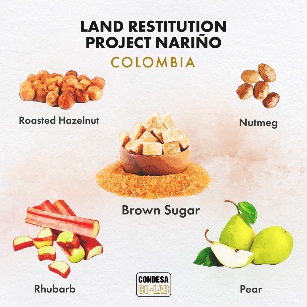 Land Restitution Project Nariño is the result of a fantastic social project encouraging specialty production in an area where coca and poppy previously grew.

Request green coffee samples: cutt.ly/Xweal8sq #CondesaCoLab