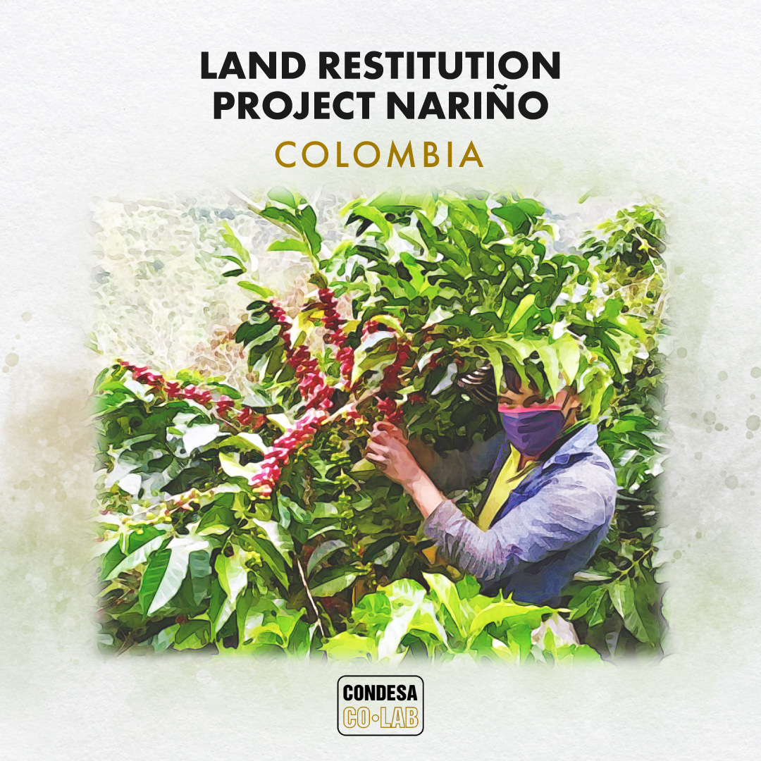 Condesa Co. Lab tweet media