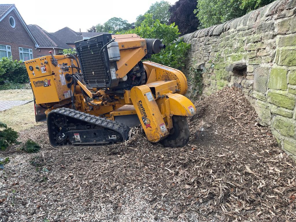 The team got the heavy machinery out to stump grind a conifer stump in #chapelallerton.  

Whether you have a stump you'd like removing or a tree you think is diseased, see how we can help...

📞 01937 573689
📧 info@bardseytrees.co.uk
🌳 bardseytrees.co.uk

#treesurgery