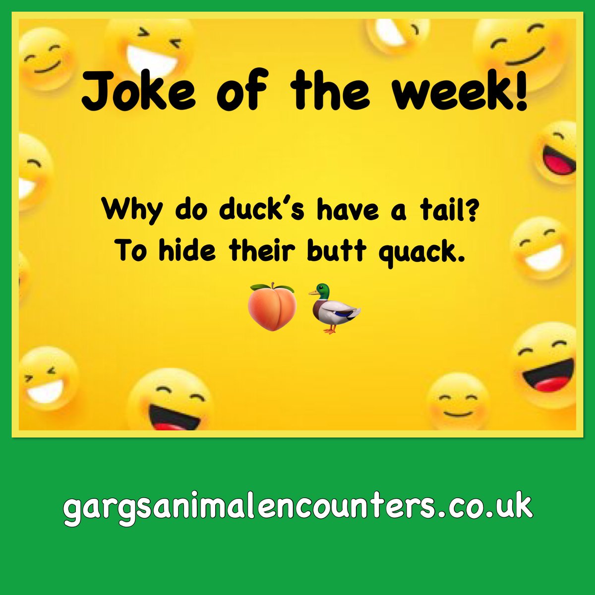 GargsEncounters's tweet photo. JOKE OF THE WEEK! 

#gargsanimalencounters #jokeoftheweek #jokes #joke #animaljokes #dadjokes #funny #kidsjokes #summerholidays https://t.co/frAj1VUy5D