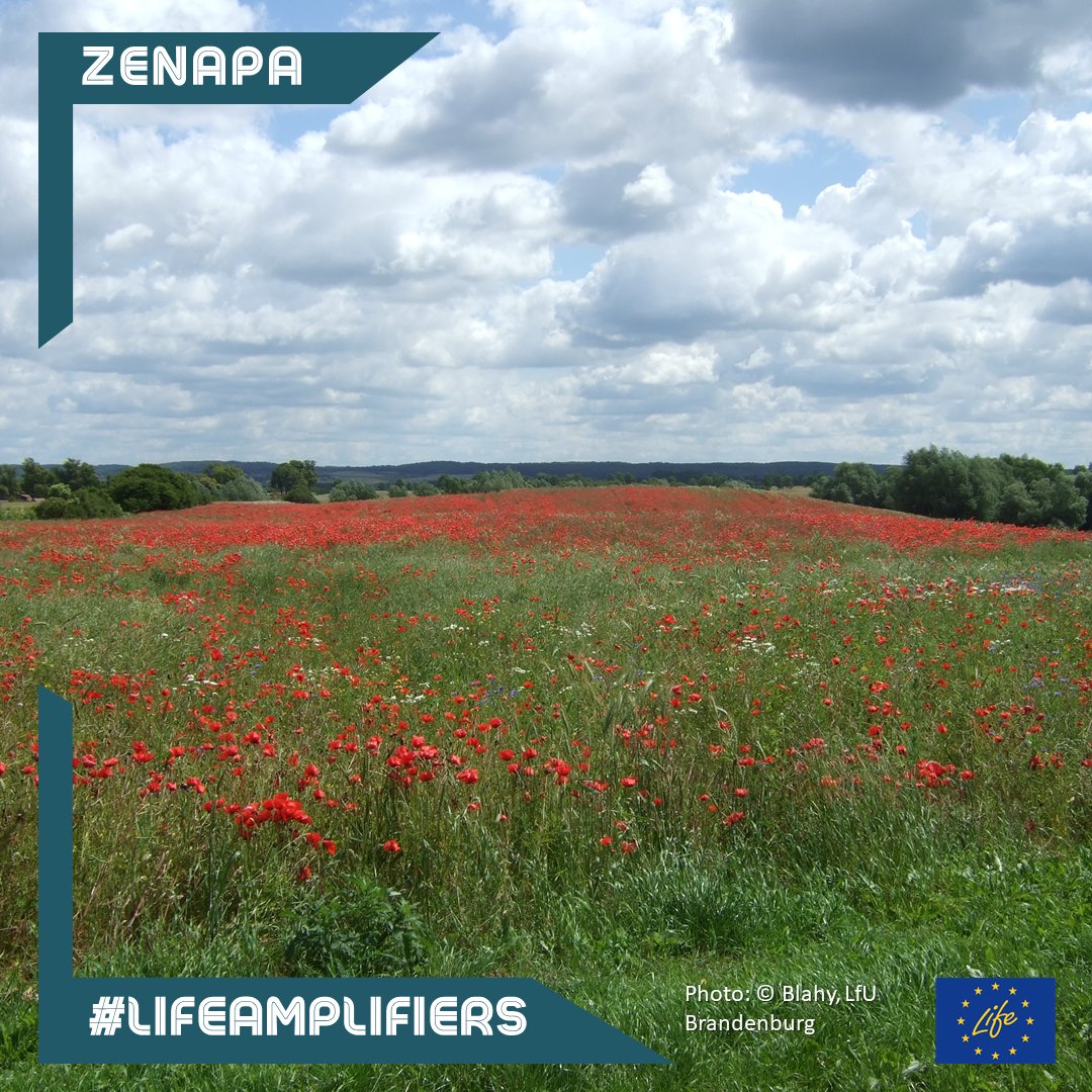 The Schorfheide-Chorin Biosphere Reserve &amp; the Barnim Nature Park are planning information events for the autumn on the topic of energy efficiency in #tourism 🍂💪 Talks are being held with interested businesses and possible speakers. 🤓 #ZENAPA <a href="/LIFEprogramme/">LIFE Programme</a> #LIFEAmplifiers