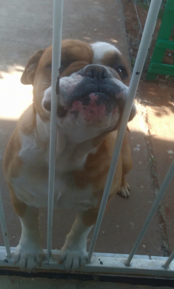 Shaun Barnard (@shaunbarnard20) on Twitter photo 