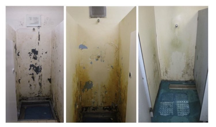 PactNick's tweet photo. It’s the photos in @HMIPrisonsnews reports that often shock the most. Pix here of showers and sinks in today’s report about HMP Risley …. https://t.co/SA8BDZpLAe