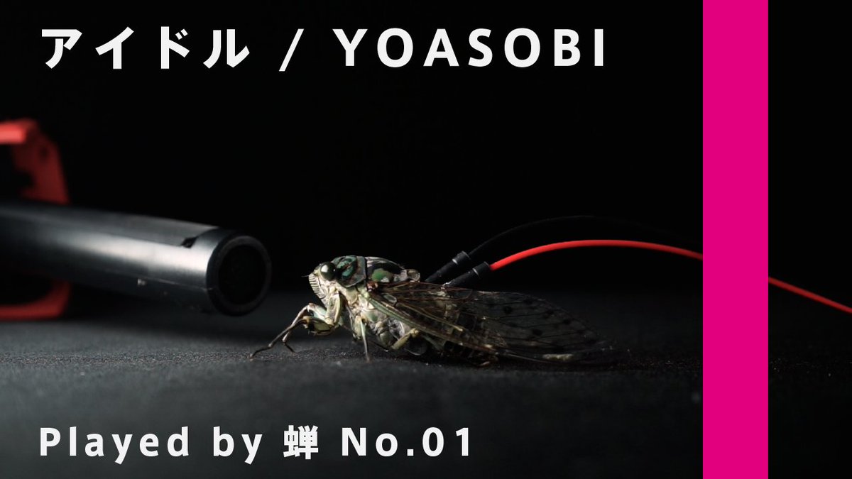 commando1999's tweet photo. 【Cicada-Canon】
 
-

No.01
アイドル / YOASOBI

-

⬇︎動画はこちらから

Youtube: https://t.co/zVN07sY5Z4 https://t.co/ZLeCfsLkuK