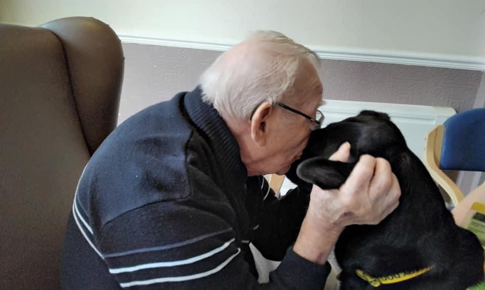 Therapy Dogs tweet media