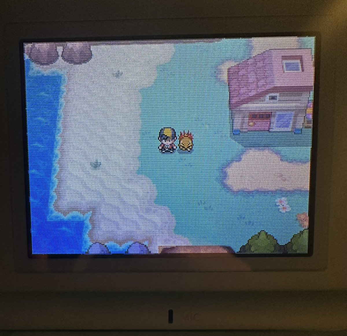 Found my first full odds shiny DS Pokémon today