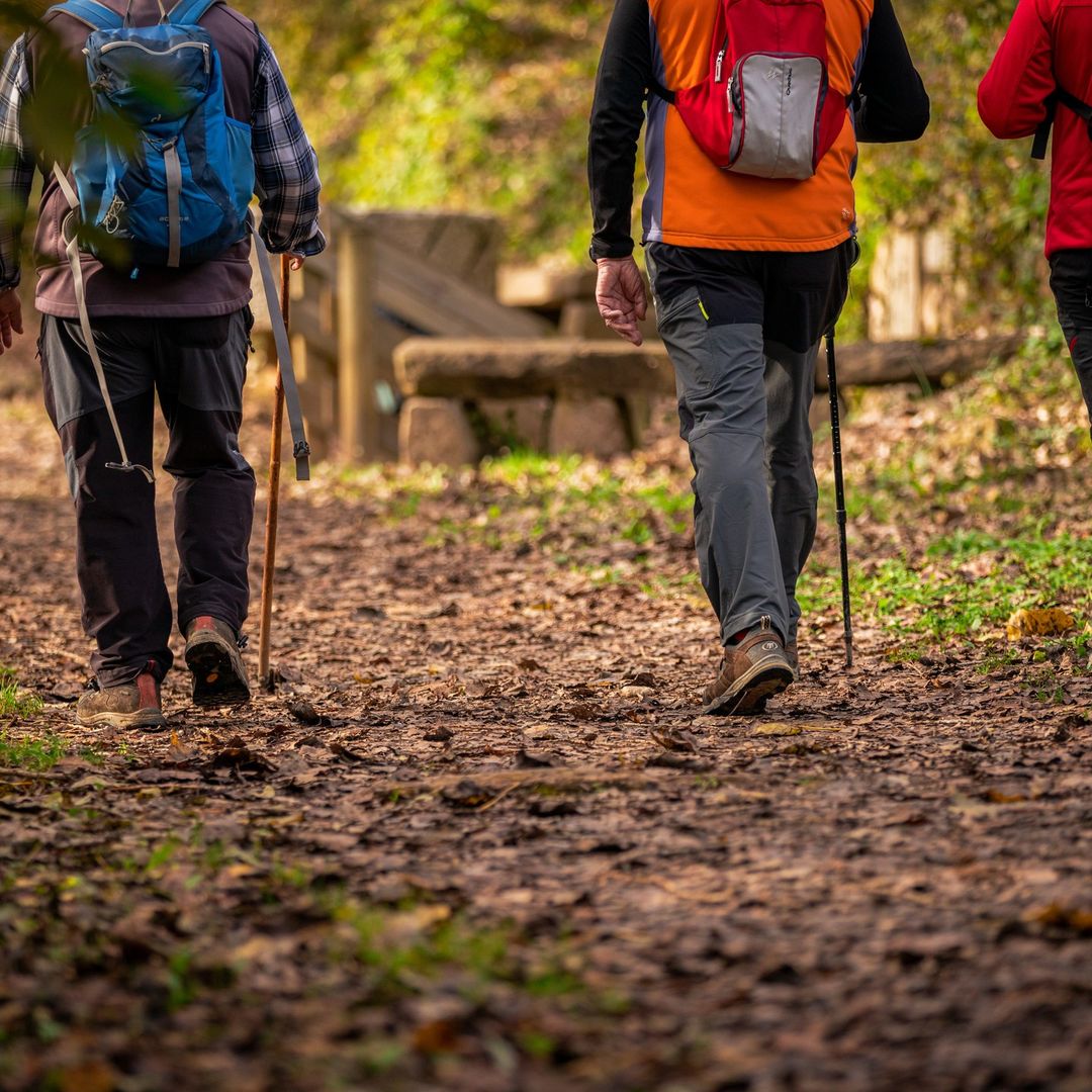 El Ripollès és el lloc perfecte per fer excursions i rutes de senderisme! 😍 La seva fauna, flora i patrimoni converteixen aquest territori en un gran atractiu per a fer activitat física i respirar aire pur! 🫶🏻 🌿

👉 loom.ly/nfE5keI
#inpyrenees <a href="/RipollesTurisme/">Ripollès Turisme</a>