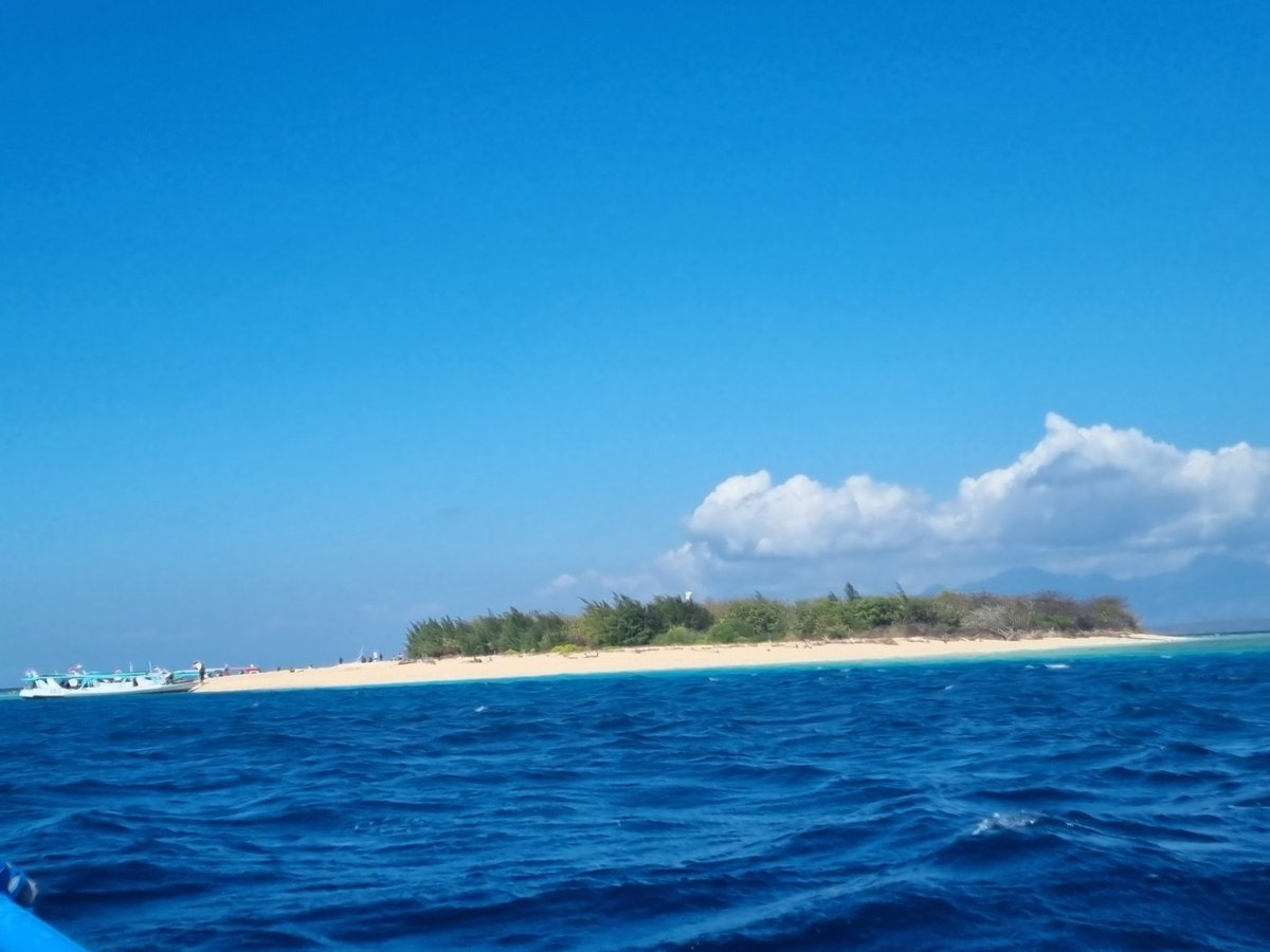 vonnysu's tweet photo. Liburan di Banyuwangi. Begitu mendarat dengan ambisius lgsg ke Pulau Tabuhan sewa kapal 500rb pp dan sewa alat snorkling @ 30rb #PulauTabuhan #Bangsring #Banyuwangi https://t.co/tIhJDaY1J9